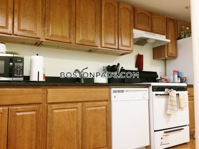 Allston/brighton Border 3 Beds 2 Baths Boston - $3,200 No Fee