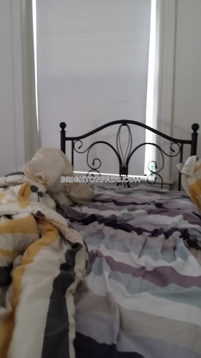 Brighton Apartment for rent 1 Bedroom 1 Bath Boston - $2,385 No Fee