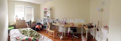 Brighton Apartment for rent Studio 1 Bath Boston - $2,125 No Fee