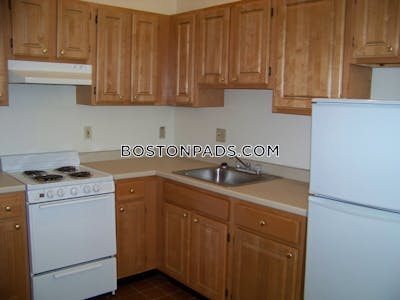 Downtown 1 Bed 1 Bath Boston - $2,700
