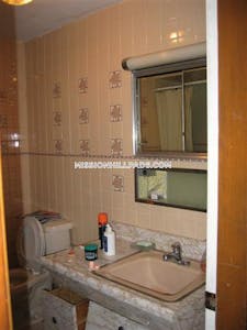 Mission Hill Apartment for rent 3 Bedrooms 1 Bath Boston - $4,500