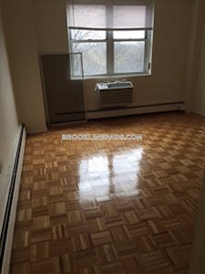 Brookline Apartment for rent 2 Bedrooms 1 Bath  Boston University - $5,100