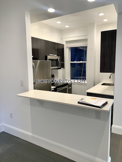 Fenway/kenmore Newly renovated 1 Bed, 1 Bath  Available NOW Boston - $2,950