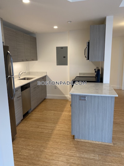 Allston 2 Beds 2 Baths Boston - $4,100
