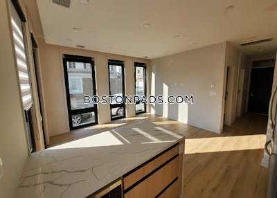 South Boston Completely New 4 Bed 4 Bath Duplex on N St. in South Boston Boston - $6,975