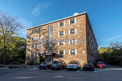 Cambridge 2 Bed 1 Bath CAMBRIDGE  Mt. Auburn/brattle/ Fresh Pond - $2,800 No Fee