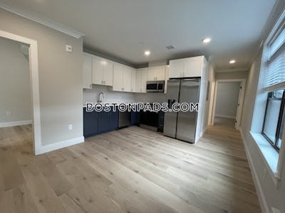 Allston 2 Beds 2 Baths Boston - $4,100 No Fee