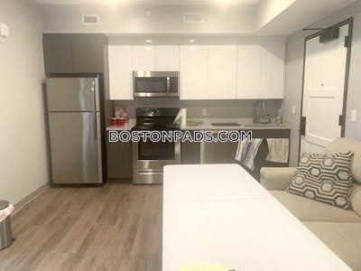 Northeastern/symphony 2 Bed 1 Bath BOSTON Boston - $4,988