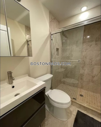 Brookline Studio 1 Bath  Boston University - $2,900
