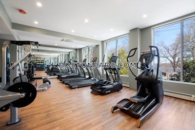 Cambridge 2 Bed 1 Bath CAMBRIDGE  Mt. Auburn/brattle/ Fresh Pond - $3,937