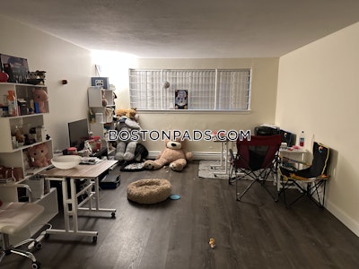 Allston/brighton Border 1 Bed 1 Bath Boston - $2,300
