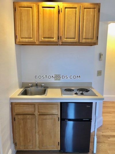 Brookline Studio 1 Bath  Boston University - $2,095 No Fee