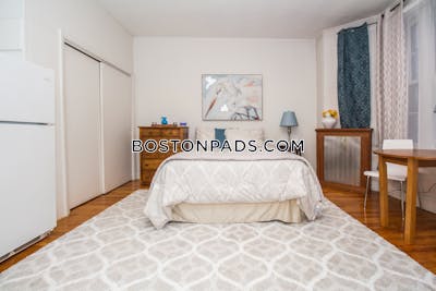 Brookline 0 Bed 1 Bath BROOKLINE- COOLIDGE CORNER $3,800  Coolidge Corner - $3,800