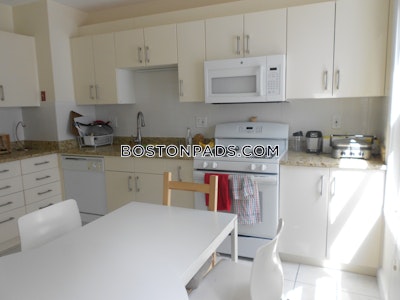 Brighton 4 Beds 2 Baths Boston - $4,800 No Fee