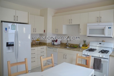 Brighton 4 Beds 2 Baths Boston - $4,800