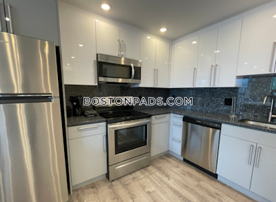 Allston MODERN Studio 1 bath available 9/1 on Commonwealth Ave in Brookline ! Boston - $2,900