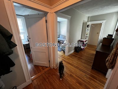 Brighton 2 Bed 1 Bath BOSTON Boston - $3,000