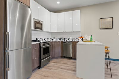 Dorchester/south Boston Border 2 Beds 2 Baths Boston - $3,325