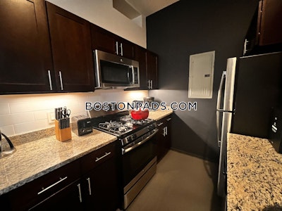 South End 2 Beds 1 Bath Boston - $4,300 No Fee