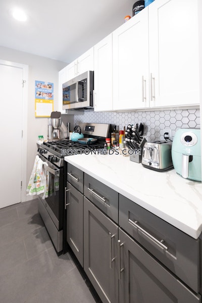South End 1 Bed 1 Bath BOSTON Boston - $3,300