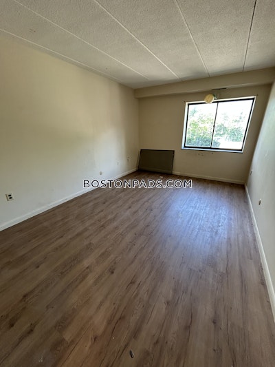Cambridge 2 Bed 1 Bath CAMBRIDGE  Mt. Auburn/brattle/ Fresh Pond - $2,995