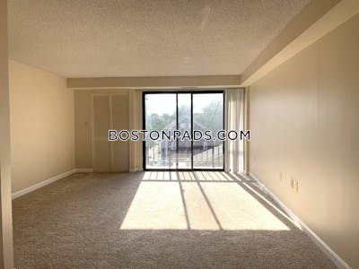 Cambridge 2 Bed 1.5 Bath CAMBRIDGE Central Square/cambridgeport - $4,100