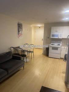 Downtown 1 Bed 1 Bath BOSTON Boston - $2,995 No Fee