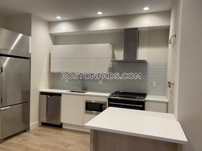 Dorchester/south Boston Border Modern 4 Bed 2 Bath on Buttonwood St. in South Boston  Boston - $4,100