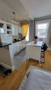Allston Studio 1 Bath Boston - $2,270