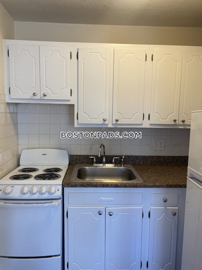Allston/brighton Border 1 Bed 1 Bath Boston - $2,500 No Fee