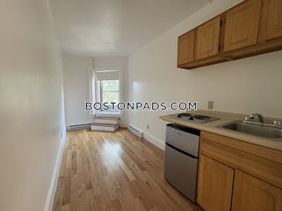 Brookline Studio 1 Bath  Boston University - $1,795 No Fee