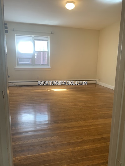 Brighton 2 Bed 1 Bath BOSTON Boston - $2,950