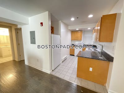 Fenway/kenmore 1 Bed 1 Bath on Park Dr in Boston Boston - $3,100