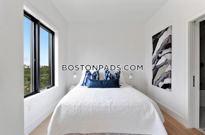 Brighton Beautiful Spacious 2 Bed 2 Bath BOSTON Boston - $5,075