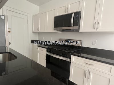 Brighton 1 Bed 1 Bath Boston - $2,975 No Fee