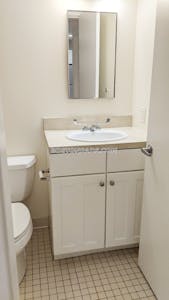 Downtown 1 Bed 1 Bath BOSTON Boston - $2,995 No Fee