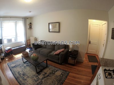 Brighton 2 Beds 1 Bath Boston - $3,100 No Fee