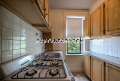 Allston 1 Bed 1 Bath BOSTON Boston - $2,250 No Fee