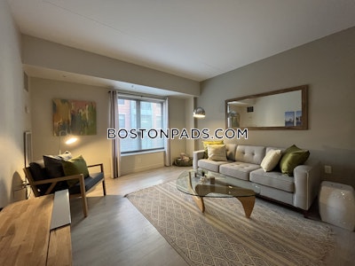 South End Luxury 1 Bed 1 Bath on Harrison Ave. in South End  Boston - $3,405