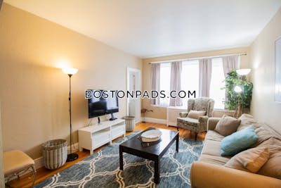 Brighton 1 Bed 1 Bath Boston - $4,400