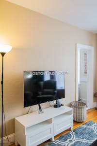 Brighton 1 Bed 1 Bath Boston - $4,400