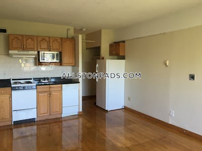 Allston Studio 1 Bath Boston - $1,850