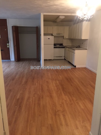 Allston/brighton Border 1 Bed 1 Bath Boston - $2,395 No Fee