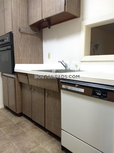 Allston/brighton Border Apartment for rent 1 Bedroom 1 Bath Boston - $2,400