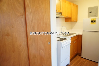 Brighton Apartment for rent 1 Bedroom 1 Bath Boston - $2,200