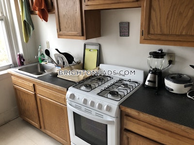 Brighton Apartment for rent 1 Bedroom 1 Bath Boston - $2,545 No Fee