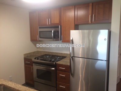 Dorchester Apartment for rent 1 Bedroom 1 Bath Boston - $2,563 No Fee