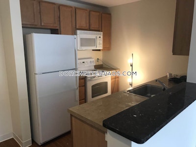 Dorchester Apartment for rent 2 Bedrooms 2 Baths Boston - $5,642 No Fee