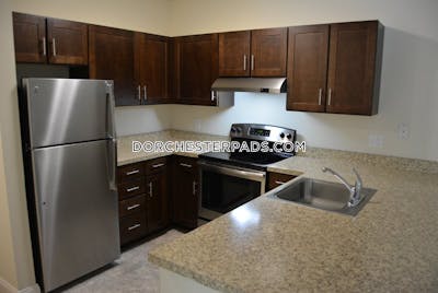 Dorchester Studio 1 Bath Boston - $2,055