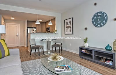 Jamaica Plain Apartment for rent Studio 1 Bath Boston - $2,050